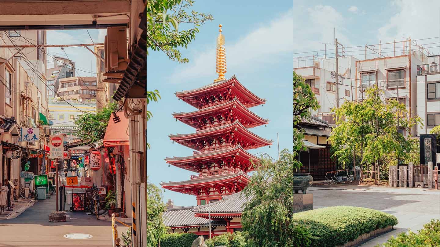 Before and After - Analog Vibes Vol. 2 Preset Effect